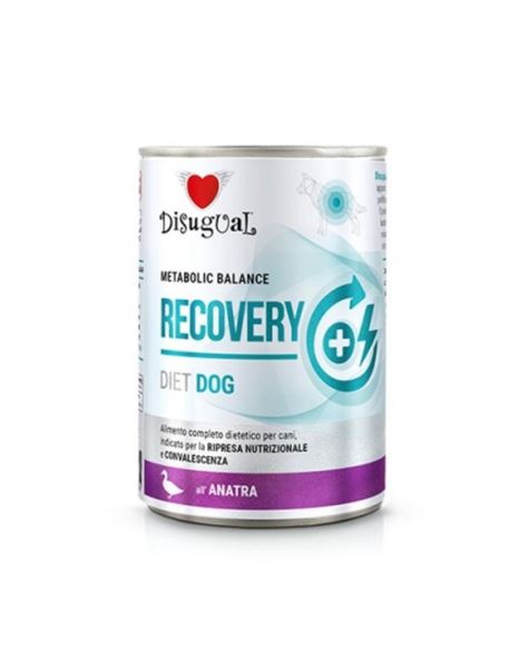 Disugual Recovery Diet Pate For Dogs With Duck 400gr