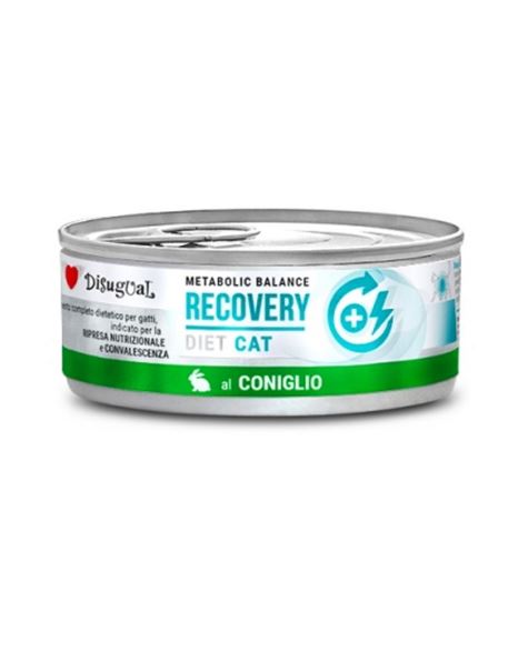Disugual Recovery Diet Pate Για Γάτες Με Κουνέλι 85gr
