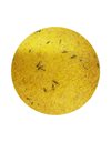 Quiko Mega Pet Κίτρινη Αυγοτροφή 500gr