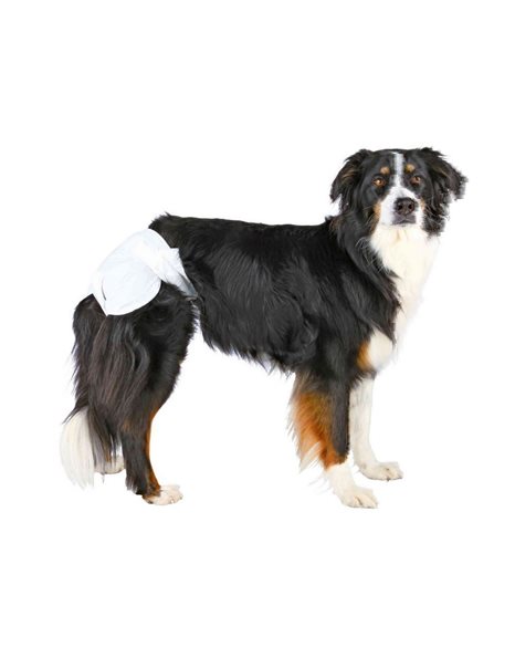Trixie Πάνα Βρακάκι Για Θηλυκά Σκυλιά Medium-Large 36-52cm 12τμχ