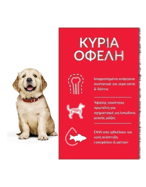 Hill's Science Plan Puppy Large Breed Chicken 14,5kg
