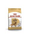 Royal Canin Golden Retriever Adult 12kg 