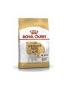 Royal Canin Jack Russell Adult 3kg