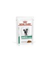 Royal Canin Diabetic Pouch Chicken 85g