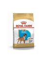 Royal Canin Boxer Puppy 12kg 