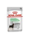 Royal Canin Digestive 85gr