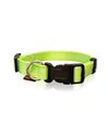 Pet Interest Plain Line Collar Medium Fluo Green 20mm x 32-50cm