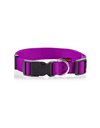 Pet Interest Plain Line Collar XSmall Purple 10mm x 19-33cm
