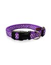 Pet Interest Dot Line Collar Large Purple 25mm x 47-70cm