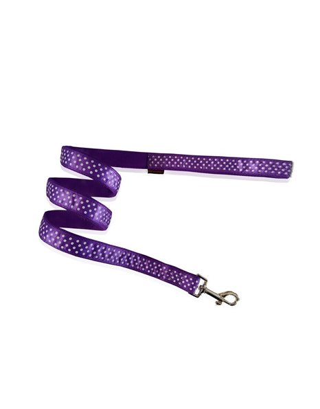 Pet Interest Dog Leash Dot Line Large Purple 25mm x 120cm