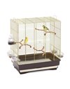 Imac Κλουβί Πουλιών Carlotta Χρυσό-Καφέ 50x30x56cm
