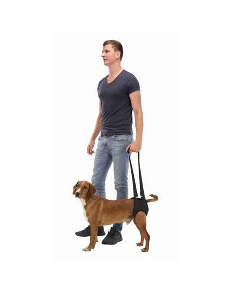 Trixie Walking Aid Harness Large-XLarge 75-85cm